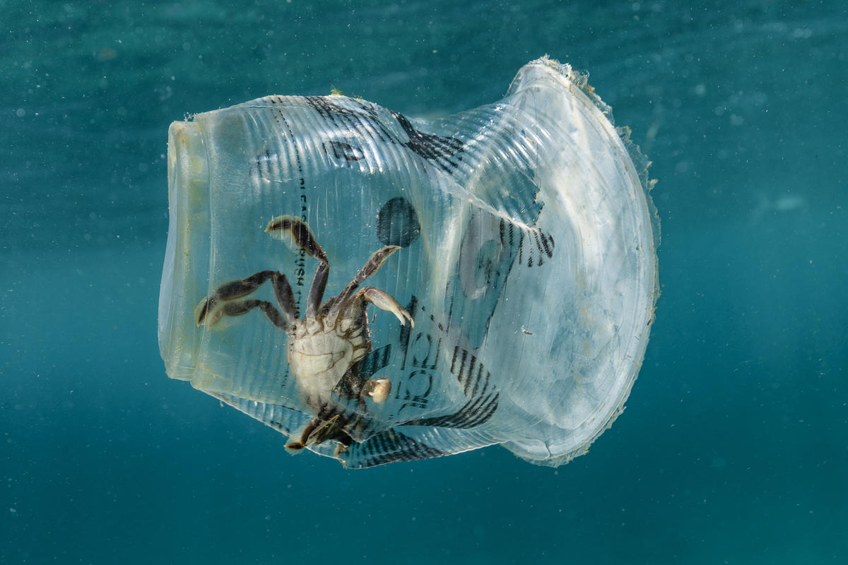 Environmental Trends in Ceramic Tableware- Why Choose Ceramic over Plastic